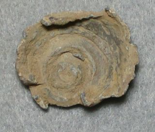 Civil War Relic High - Impact Confederate Ring - Tail Sharps Found Spotsylvania,  Va