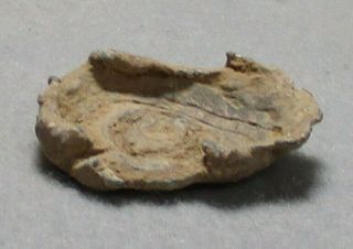Civil War Relic High - Impact Confederate Ring - Tail Sharps Found Spotsylvania,  VA 2