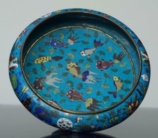 A Fine Chinese Bronze Cloisonné Fish Bowl,  Qing Period.