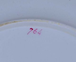 8 SUPERBc1820 ENGLISH PORCELAIN RIDGEWAY DERBY ORNITHOLOGICAL BIRD SCENIC PLATES 4