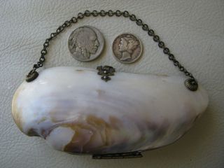 Antique Victorian Red Interior Old World Clasp Hinge Sea Shell Clam Purse 1800s