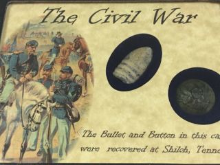 Civil War Bullet & Button Set From Shiloh,  Tn In Display Case With