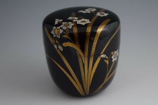 Japanese Lacquerware Makie W/ Eggshell.  Tea Caddy Natsume.  Narcissus Design (33)