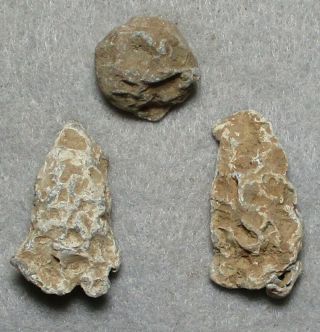 Three Chewed Bullets Civil War Relics Found In Central Virginia