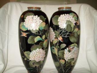 Pair Antique Chinese Cloisonne Vases - Hydrangea Birds Butterfly - 12 1/4 " Tall