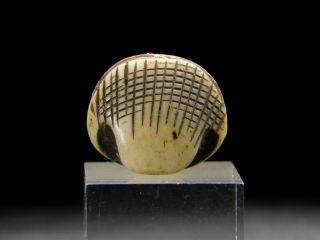 FINE Carving Clam OJIME Bead NETSUKE 19thC Japanese Edo Antique for INRO 4