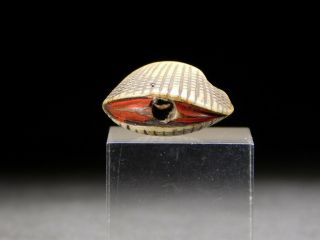 FINE Carving Clam OJIME Bead NETSUKE 19thC Japanese Edo Antique for INRO 6