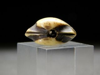 FINE Carving Clam OJIME Bead NETSUKE 19thC Japanese Edo Antique for INRO 7