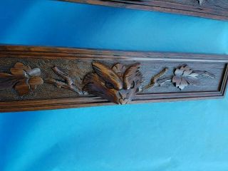 Antique French:2 fronts/panels,  Carved by Hand,  Solid Oak With Animal Heads,  19th 10