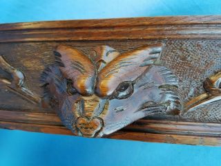 Antique French:2 fronts/panels,  Carved by Hand,  Solid Oak With Animal Heads,  19th 2