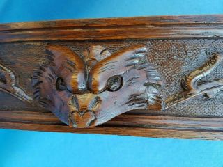 Antique French:2 fronts/panels,  Carved by Hand,  Solid Oak With Animal Heads,  19th 3