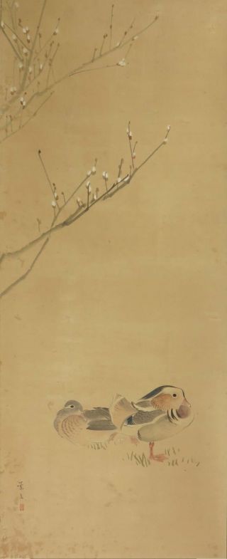 Hanging Scroll Japanese Painting Japan Mandarin Duck Flower Antique Vintage 692i