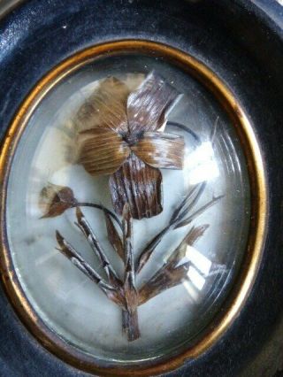 ANTIQUE FRENCH SENTIMENTAL MOURNING HAIR ART 1880 ' s (n10) 3