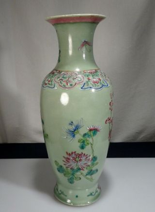 Chinese Celadon Glazed Famille Rose Porcelain Vase - 55765 4