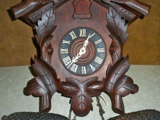 ANTIQUE AMERICAN CUCKOO CLOCK CO.  BLACK FOREST 100 EARLY 1900 ' S 10
