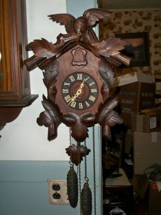 ANTIQUE AMERICAN CUCKOO CLOCK CO.  BLACK FOREST 100 EARLY 1900 ' S 2