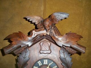 ANTIQUE AMERICAN CUCKOO CLOCK CO.  BLACK FOREST 100 EARLY 1900 ' S 8