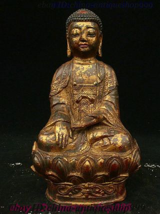 Collect Antique Tibetan Bronze Gilt Shakyamuni Amitabha Buddha Tathagata Statue