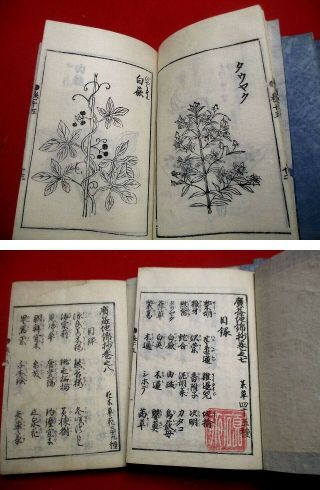2 - 25 Japanese JIKIN flower botanical Woodblock print 8 BOOK 10