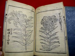 2 - 25 Japanese JIKIN flower botanical Woodblock print 8 BOOK 11