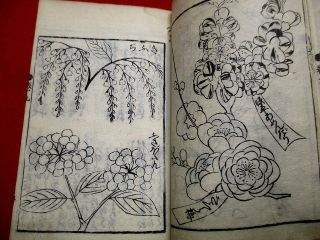 2 - 25 Japanese JIKIN flower botanical Woodblock print 8 BOOK 4