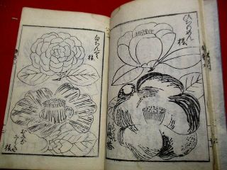 2 - 25 Japanese JIKIN flower botanical Woodblock print 8 BOOK 5