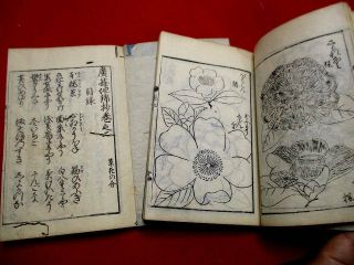 2 - 25 Japanese JIKIN flower botanical Woodblock print 8 BOOK 6