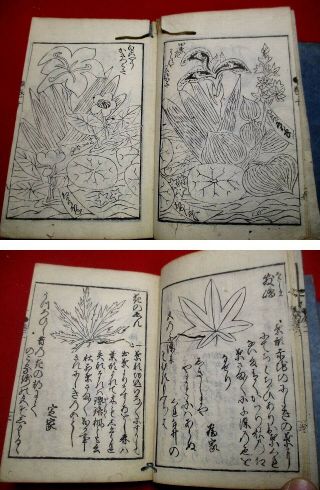 2 - 25 Japanese JIKIN flower botanical Woodblock print 8 BOOK 8