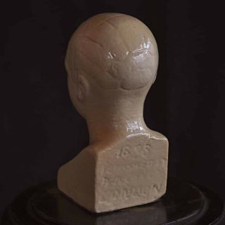 Plaster Antique Phrenology Bust by Vago 1872 2