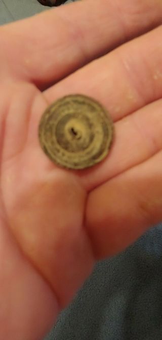 Civil War Lical South Carolina Coat Button 5