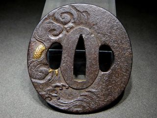 FINE Golden Dragon TSUBA 18 - 19thC Japanese Edo Samurai Koshirae Antique 4