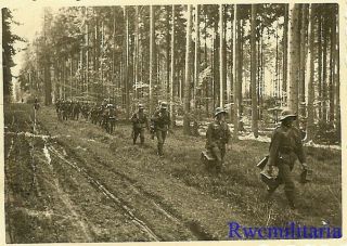 Loaded Wehrmacht Combat Infantry Truppe Advancing Through Woods To The Front
