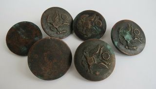 Us Army World War ? Cavalry Bridle Rosettes Copper Circa 1900 ? Buttons Tack