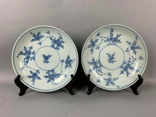 18th C.  Chinese Pair Blue And White Porcelain Plates