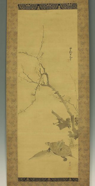 掛軸1967 Japanese Hanging Scroll : Rosetsu,  Okyo " Ume Tree And Two Turtles " @z6058