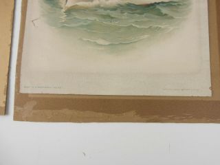 Antique 1898 Lithograph Print US Battleship MAINE Koerner & Hayes Military Ship 4