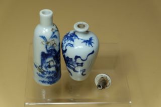 Chinese Underglazed - Blue Copper - Red And Blue White Snuff Bottles. 10