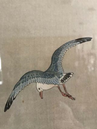 Watanabe Seitei (Shotei) Woodblock Print Flying Bird Seagull Ocean Wave 5