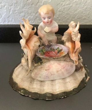 Delightful Victorian Seashell Art With Porcelain Doll
