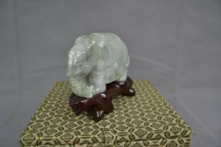 Vintage Chinese Oriental Jade Hardstone Carving Elephant Stand & Box 5