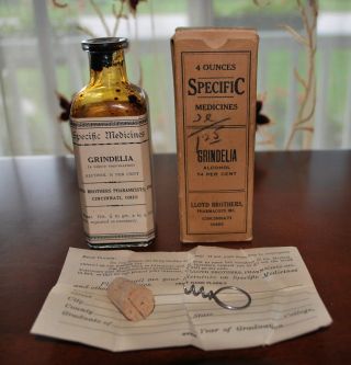 Antique Pharmacy Medicine Lloyd Brothers Grindelia For Dyspnoea
