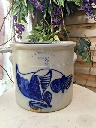 Early 1870s Stoneware Crock N.  A.  White & Son Utica,  N.  Y.  Butterfly & Floral
