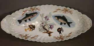 Lg 19thc Antique Austrian Porcelain Old Victorian Nautical Seahsell Fish Platter
