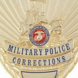 Usmc Military Police Corrections Pin Back 3 "