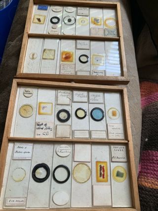 Tray 8 & 9 Antique Microscope Slides Various Diamond Etched Various Old Rare