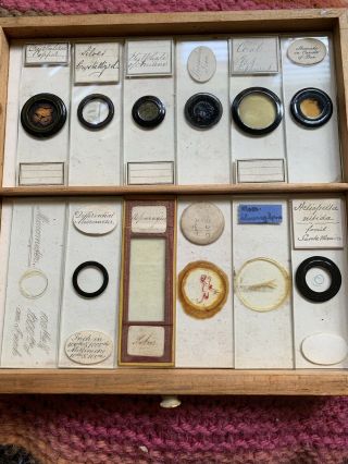 Tray 7 Antique Microscope Slides Silver Fossil Various Rare Old Unusual Set