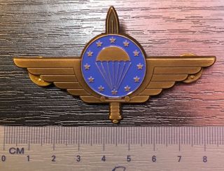 Badge Parachutist Parachutism Air Force