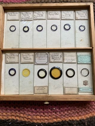 Tray 5 Antique Microscope Slides Norman Diatoms Various Old Rare Set