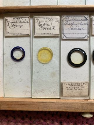 Tray 5 Antique Microscope Slides Norman Diatoms Various old rare set 4