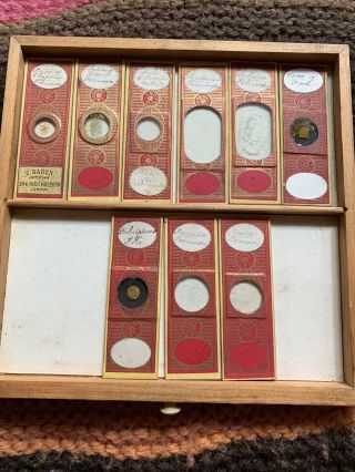 Tray 3 Antique Microscope Slides 9 In Total By C.  M.  Topping Old Rare Various